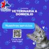 Veterinaria Vet Pulse