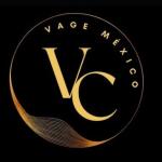 Vage México Desarrollador Inmobiliario