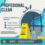 Profesional Clean