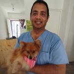 Servicios Veterinarios Cachorros Vips