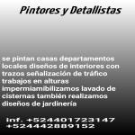 Pintores Y Detallistas