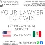 Consorcio Lex  Abogados